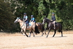 WJ6_9034