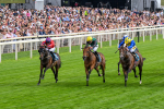 260725-Race 7-Chesneys Charm-0897