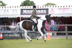 SBM_11078
