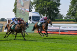 160726-Race 4-Park Lane Penny-4680