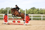 SBM_007203