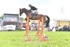 BPP_0720