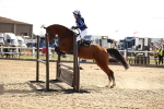 SBM_003309