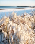 Central Beach, Nairn - January