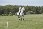 BVHT 140517  NXC -517