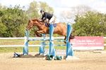 SBM_003956