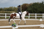 SBM_000995