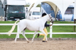 SBM_05030
