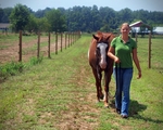 Haleys Horse_036