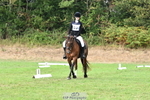 Dressage 12.30 - 1.30pm portfolio