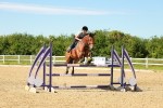SBM_002826