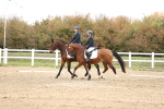SBM_000175