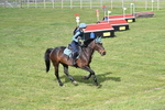 WJ7_8233