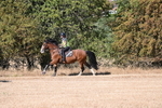 WJ6_7578