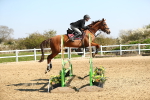 SBM_000853