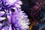 Flowers Set 2 - 13