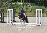 BPP_1395