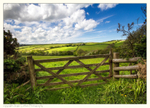 Cornish View