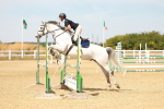 SBM_003404