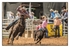 Calf Roping 5