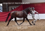 BPP_2797