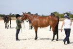 20260802-1445