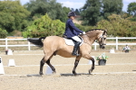 SBM_014483