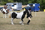 WJ6_6473