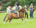 Dunblane show-82