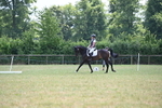 WJ6_8042