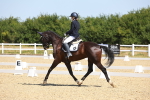 SBM_009911