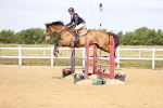 SBM_009393