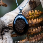 jpai 188 Whitby Jet & Ammonite Inlay
