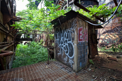 Carrie Furnaces (Rankin, PA) | Overgrown Deck