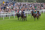 220824-Race 1-Celandine-7595