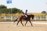 SBM_006384