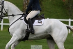 455-GURTEEN.BARNEY-Georgie.Driver-TrotUp+SJ portfolio