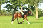 SBM_59827