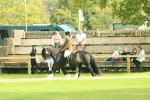 SBM_66619