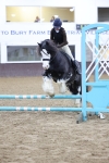 SBM_000393