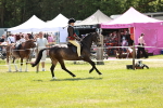 SBM_15784