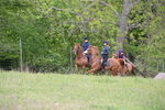 WJ6_2005
