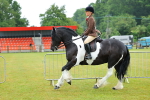 SBM_00941