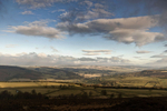 Fallinge Edge