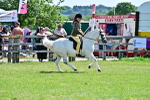 SBM_13956
