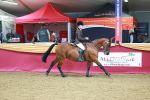 SBM_05199
