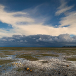 Puponga Mudflats