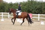 SBM_014710