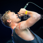 LIZZARD CHANNEL portfolio