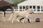 SBM_08449